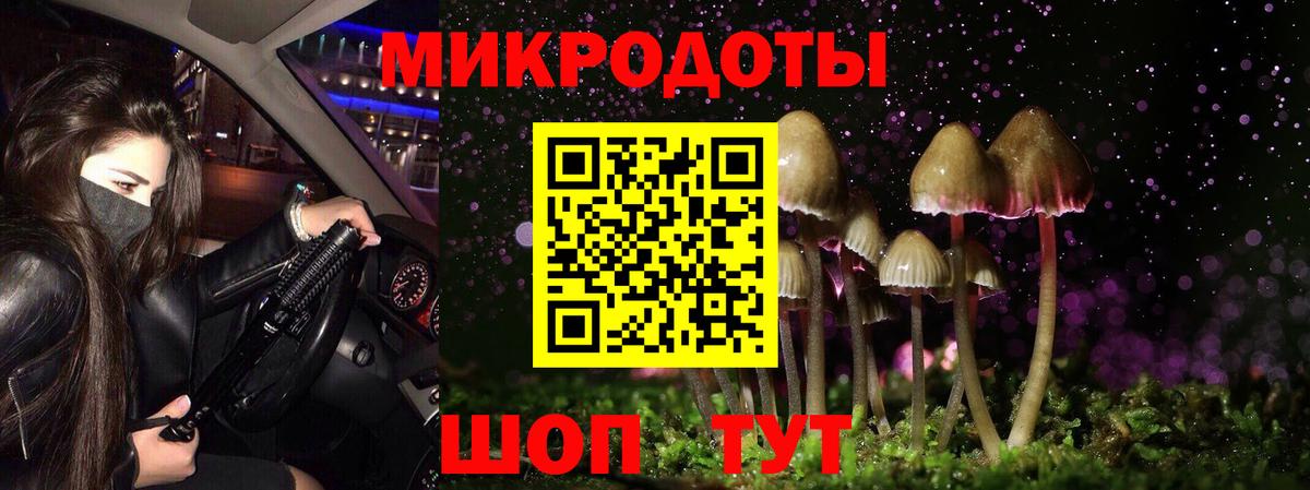 Кропоткин  Галлюциногенные грибы MAGIC MUSHROOMS  Вход с VPN 