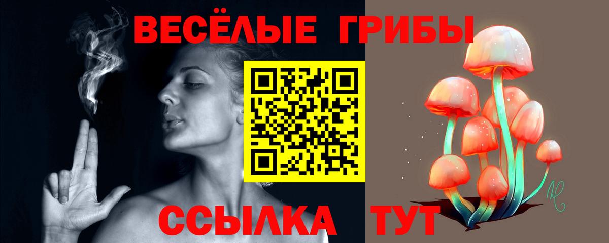 Галлюциногенные грибы мицелий Кропоткин